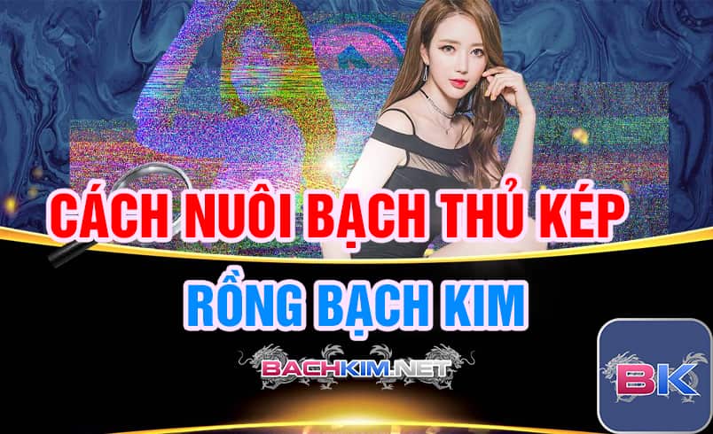 Bạch thủ kép