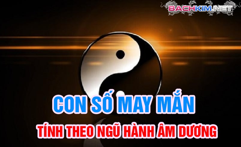 Con số may mắn ngày hôm nay tính theo âm dương ngũ hành