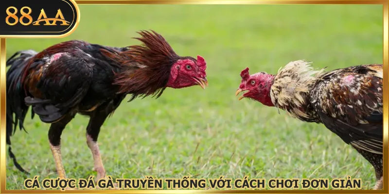 Cá cược đá gà truyền thống với cách chơi đơn giản 