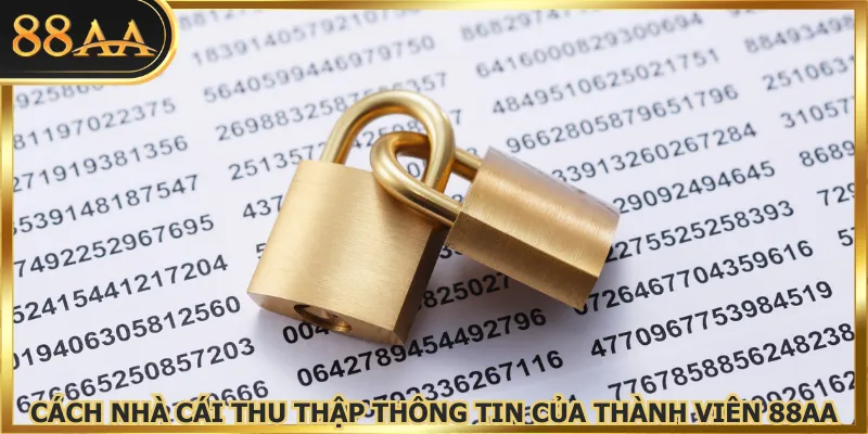 Cách nhà cái thu thập thông tin của thành viên 88AA